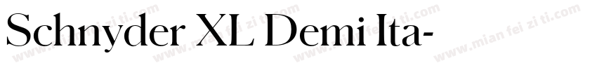 Schnyder XL Demi Ita字体转换